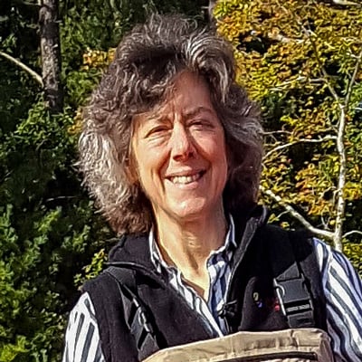 News from the Bog