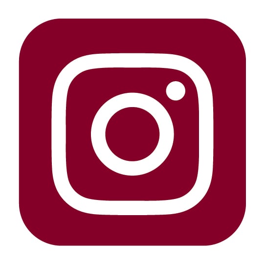 Instagram icon
