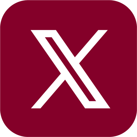 x logo